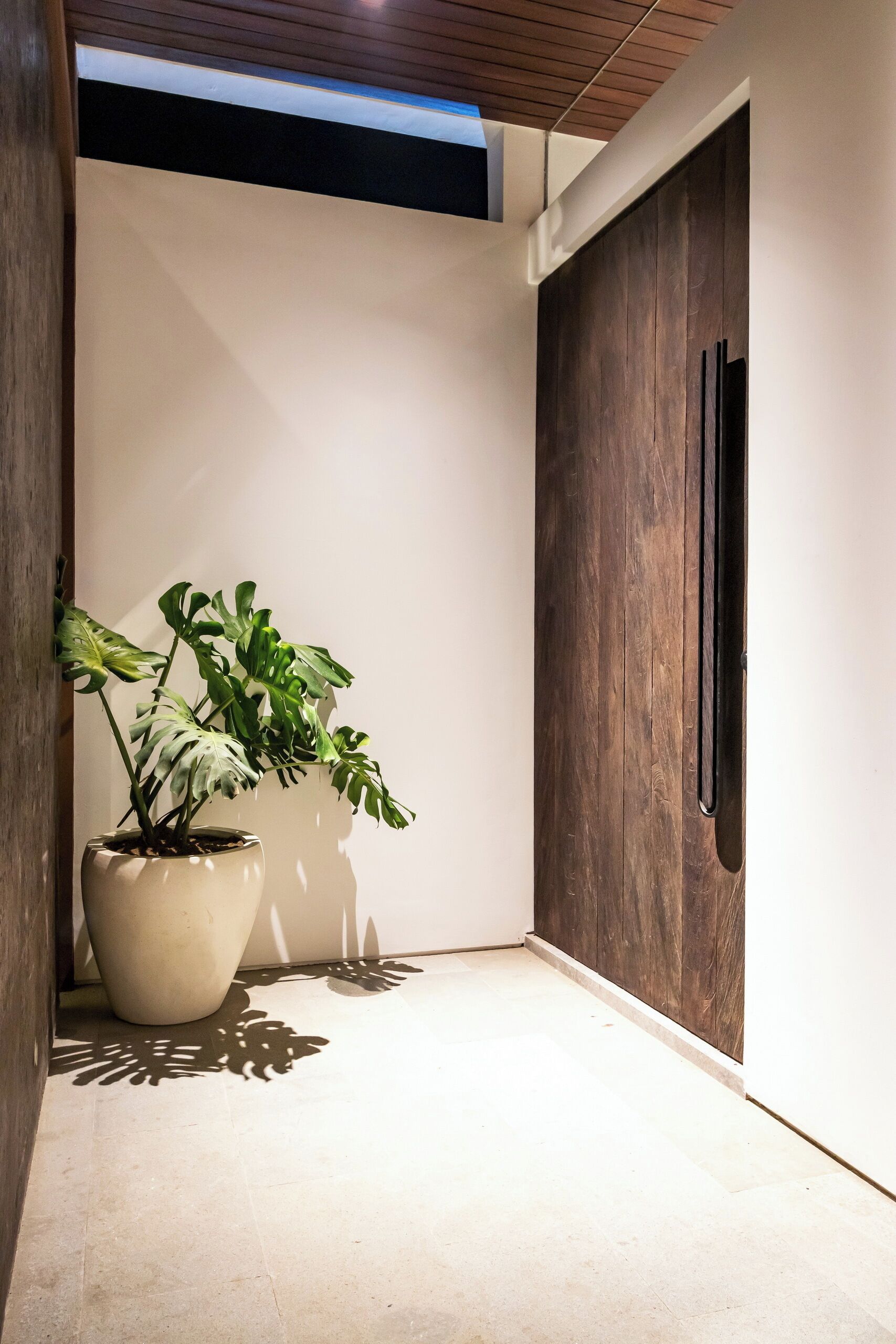 A hallway with a potted plant, a wooden door, and a light fixture on the ceiling.