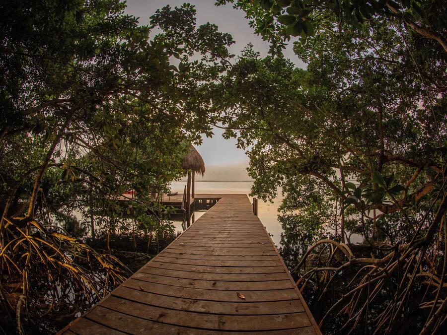 A wooden pathway leading to a beach, surrounded by dense foliage and a thatched-roof structure.