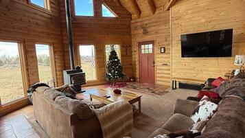 Smart TV, fireplace, DVD player, video library