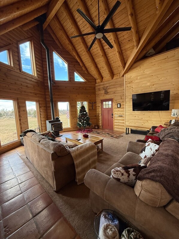 Smart TV, fireplace, DVD player, video library