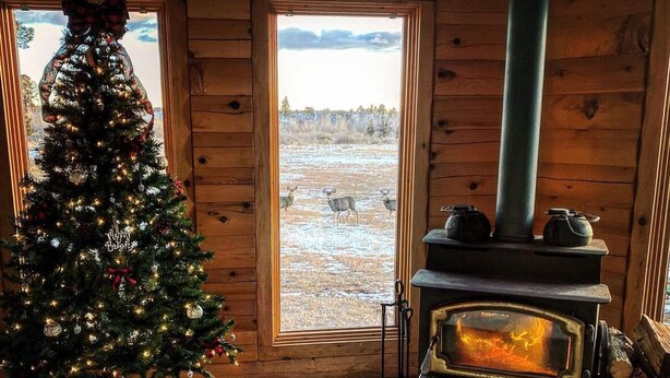 Ein gemütliches Cabin-Interieur mit einem geschmückten Weihnachtsbaum, einem Holzofen und Blick aus dem Fenster auf eine verschneite Landschaft.