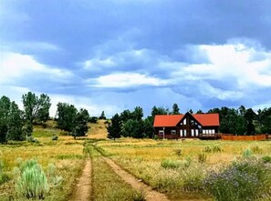 Eksteriør