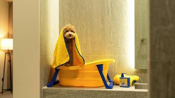 A small dog in a yellow tub with a towel over its head, a yellow shampoo bottle, and a blue shampoo bottle on a bathroom counter.
