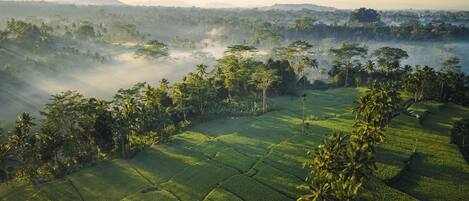 Land view from property