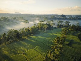 Vistas al campo desde el alojamiento
