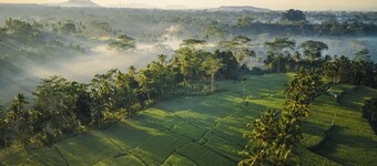 Ubud Mas Glamping Luxury Tent