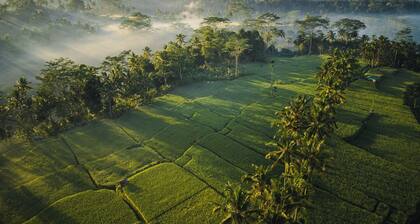 Ubud Mas Glamping Luxury Tent