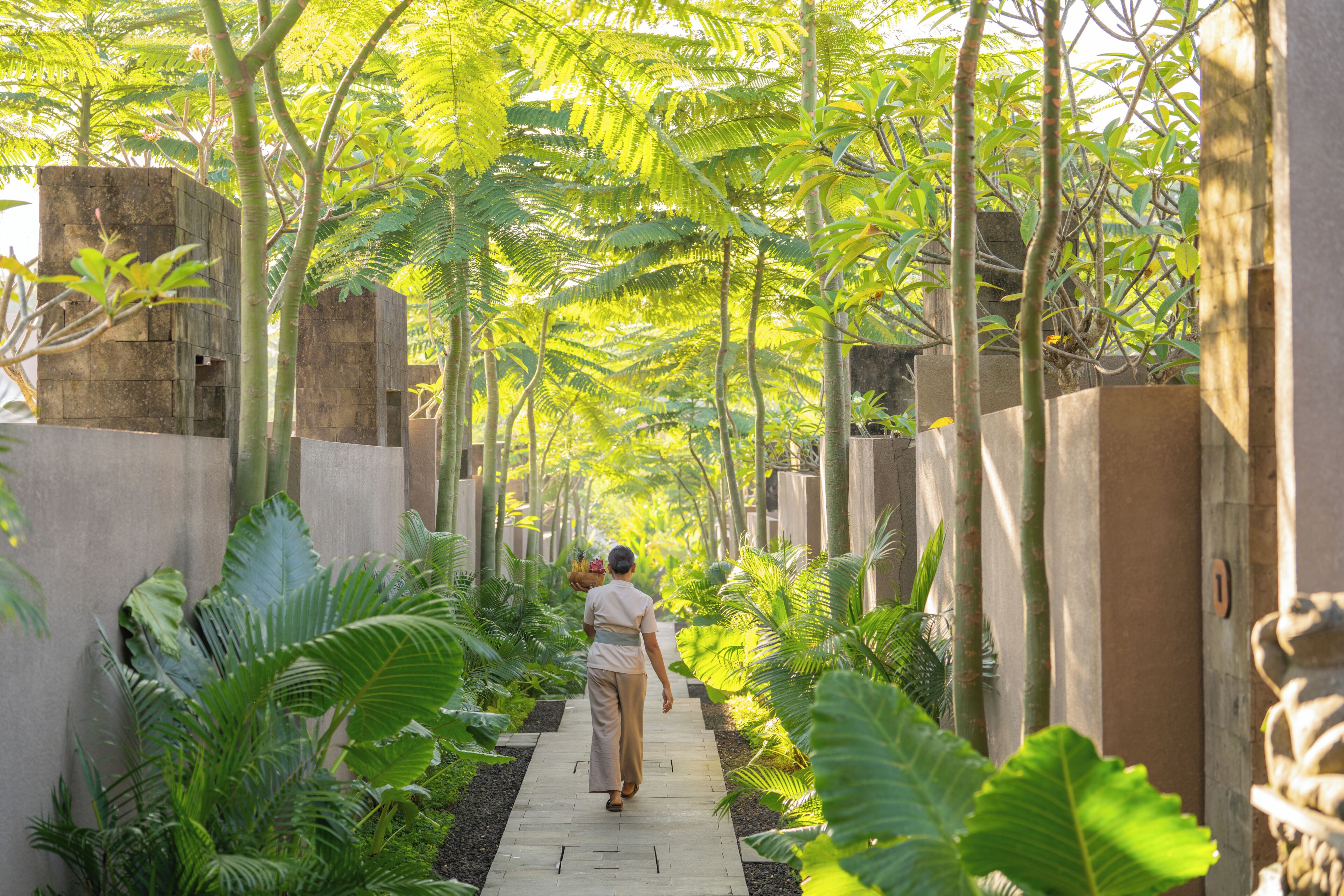 A pathway lined with tropical plants and trees, leading to a building with a stone facade.