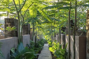 Un sentier bordé de grands arbres et, d’un côté, d’un mur de pierres.