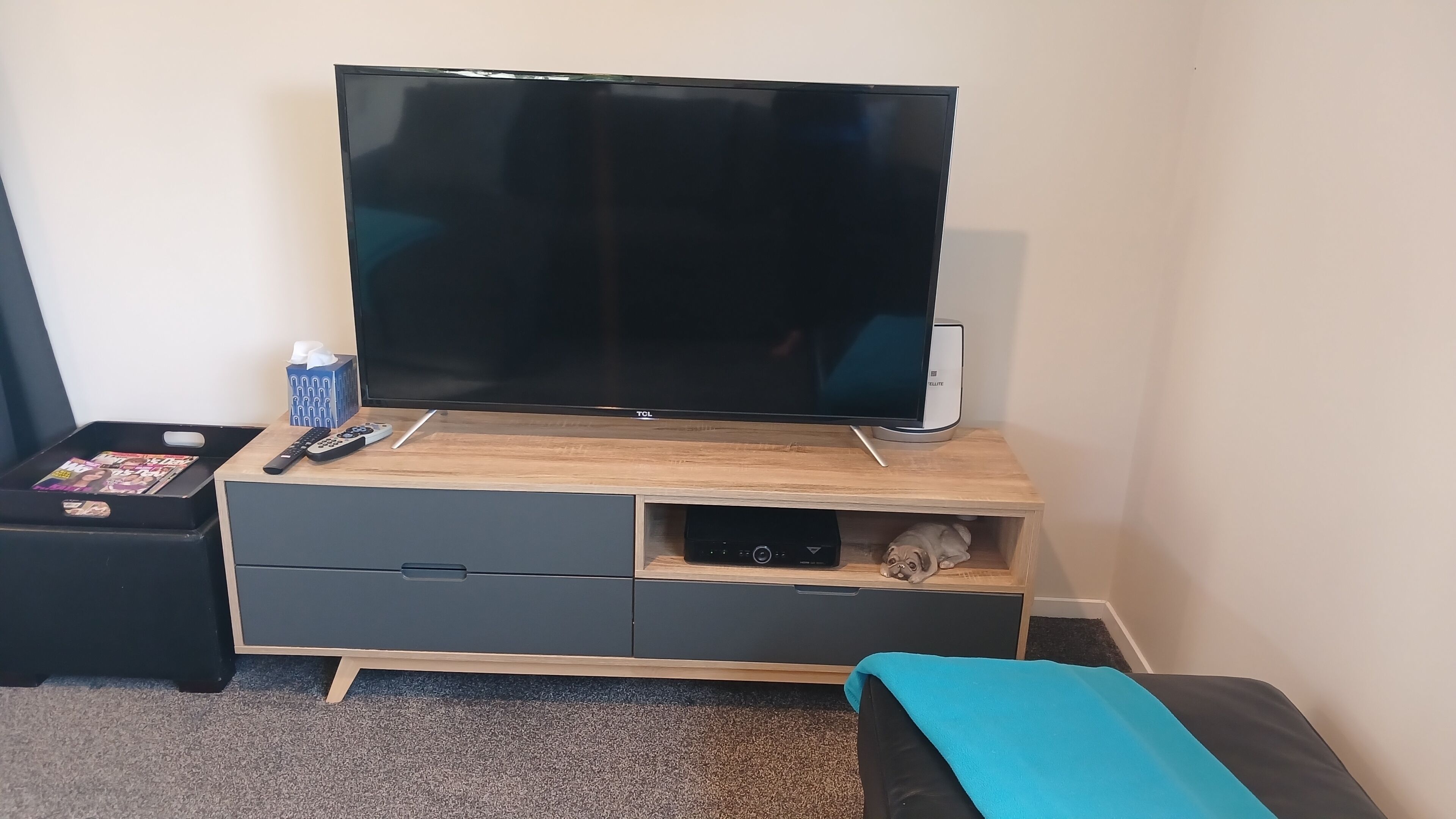 Un salon moderne avec un téléviseur à écran plat posé sur un meuble télé en bois, une télécommande, un magazine et un petit panier pour animal de compagnie où se trouve un carlin.