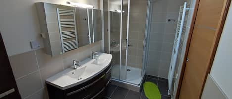 シャワー、ヘアドライヤー、トイレットペーパー