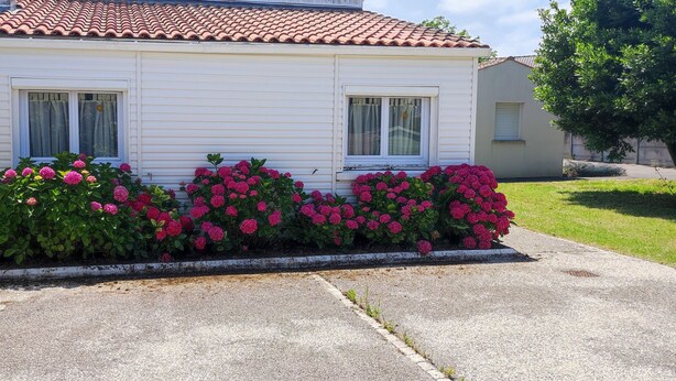A single-story house with a tiled roof, two windows with curtains, and a well-maintained garden with pink flowers.