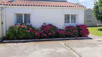 DĂ©tail de lâextĂ©rieur