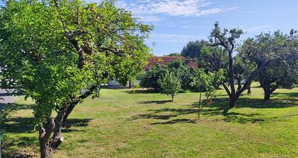 Gßte 6 personnes dans un écrin de verdure.