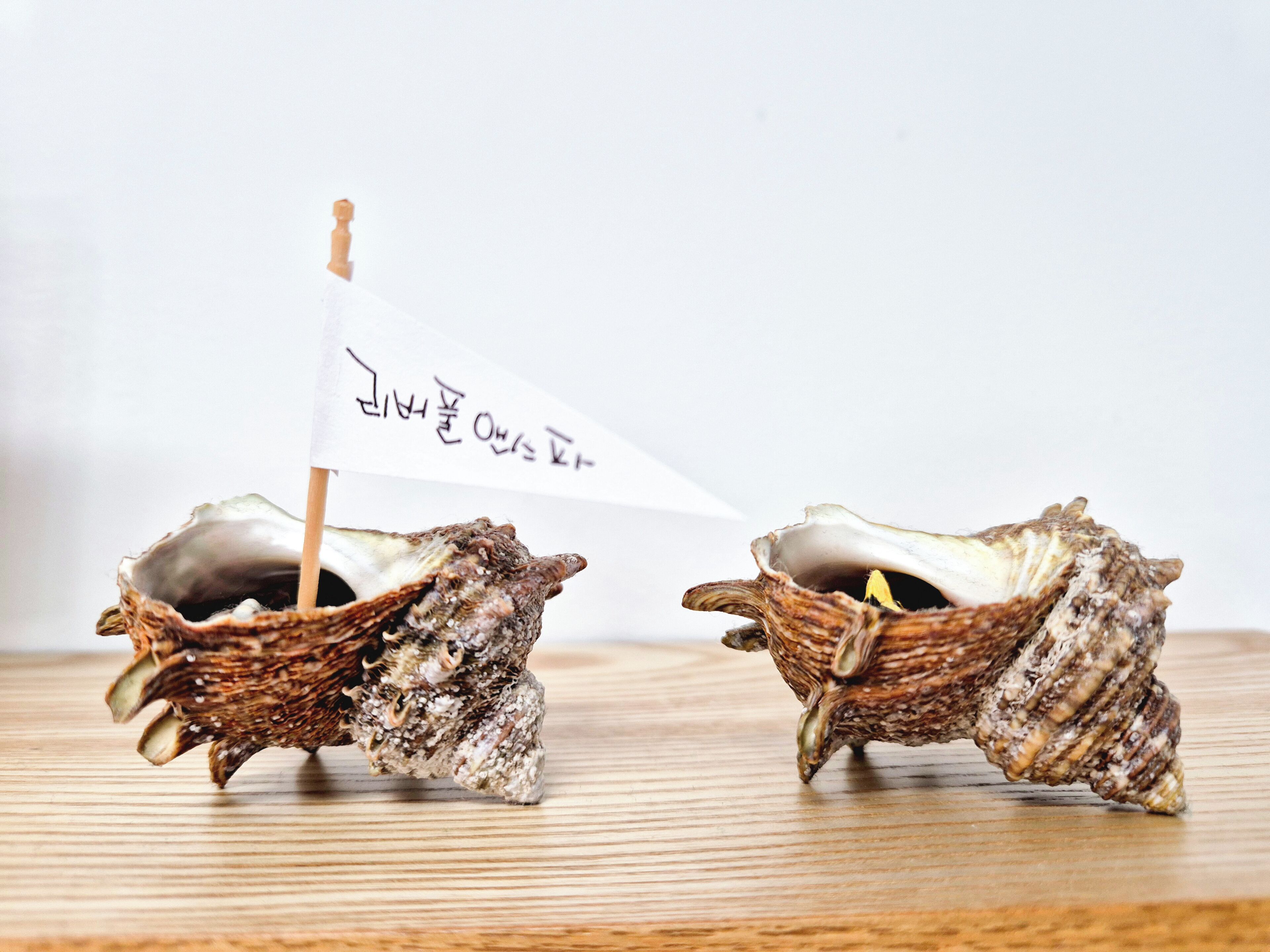 Two seashells with a small white flag and Korean text.