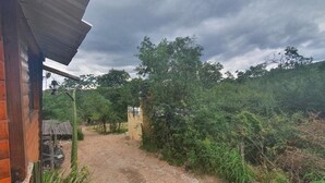 Un edificio de madera rústico con un sendero de tierra que lleva a una reja, rodeado de abundante vegetación y árboles.