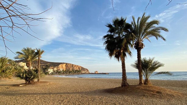 A beach with palm trees and a rocky cliff in the background. - Tolles Ferienhaus in Südspanien, in Ruhiger Natur zum Entspannen und Wandern (Águilas)