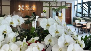 Un hall d'accueil d'hôtel avec une enseigne indiquant «Hôtel de nature», un réceptionniste et un comptoir d'accueil. On peut voir, au premier plan, des orchidées blanches et une grande plante en pot.