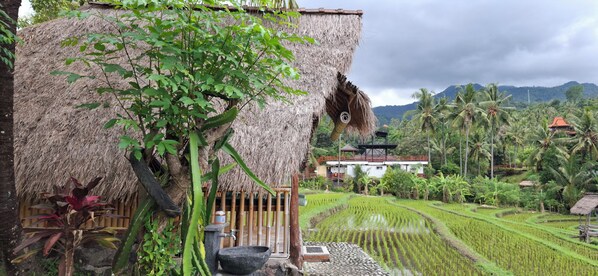 Junior Room - Uma Nirmala aling-aling (Sukasada)