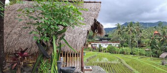 乌玛尼尔玛拉阿灵阿灵