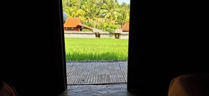 Junior Room - Uma Nirmala aling-aling (Sukasada)