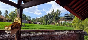 豪華單棟房屋, 露台, 山景