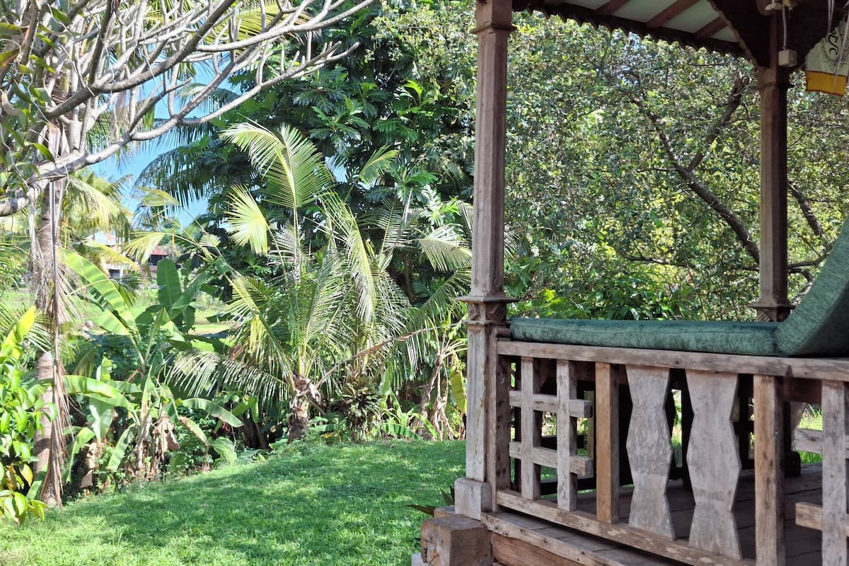 A wooden deck with a green cushioned bench, surrounded by lush tropical vegetation.