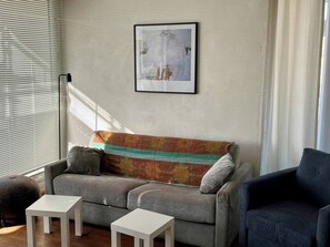 TV, video games, DVD player, books