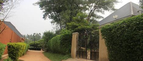 Zona residencial con un sendero de tierra que lleva a una entrada con reja, rodeada de follaje y árboles.