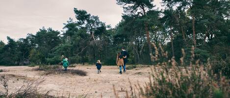 วิวจากที่พัก
