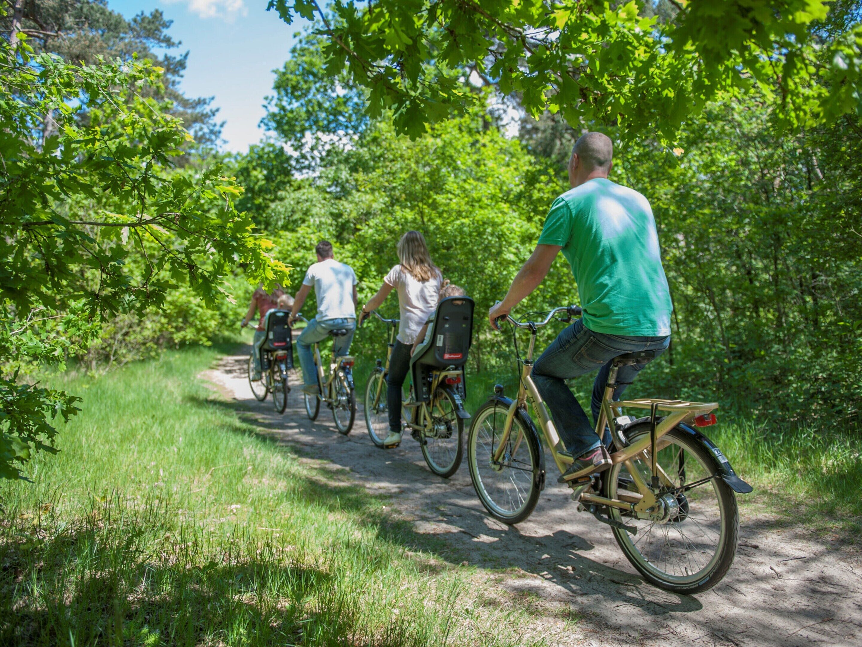 A group of people riding bicycles on a dirt path surrounded by greenery.