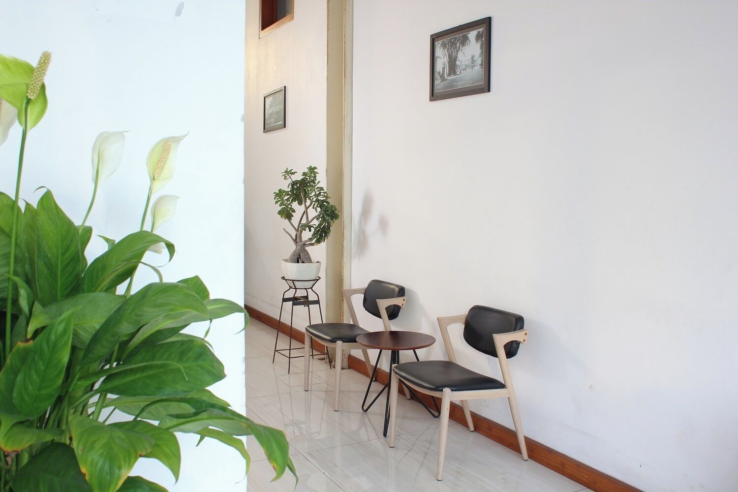 Un couloir avec une plante en pot, une petite table avec deux chaises et un tableau encadré au mur.