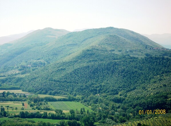 A mountainous landscape with dense green forests and fields.