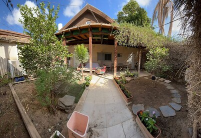 a cozy apartment with a beatiful garden in the heart of the old city/