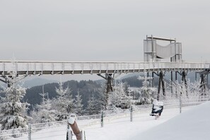 A snow-covered bridge with metal railings and a person in winter clothing. - Appartement Neuastenbergerstrasse 4 Neuastenberg (Winterberg)