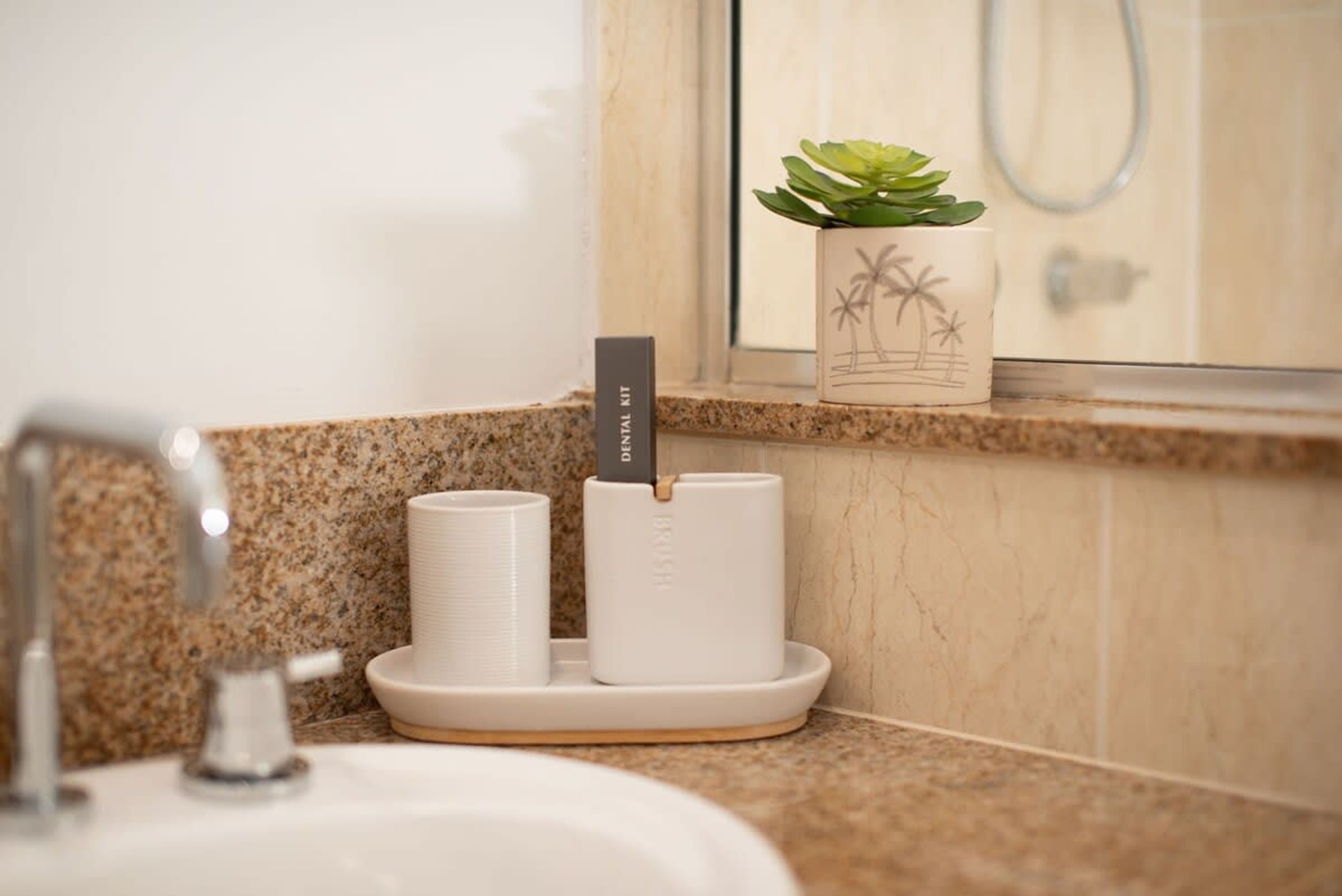 A bathroom with a granite countertop, a sink, and a mirror. There is a small potted plant on the countertop.