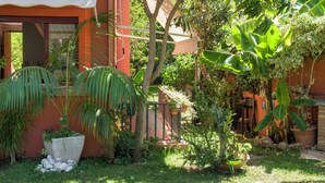 A garden with various plants and a building with a red exterior. - Casa La Buganvilla del Chaparral (Marbella)