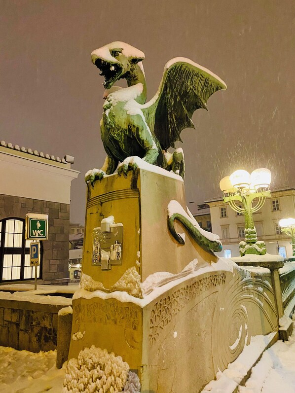 Property grounds - Lovely 1-bedroom 3 bed in a 18 century townhouse in Ljubljana (Ljubljana)