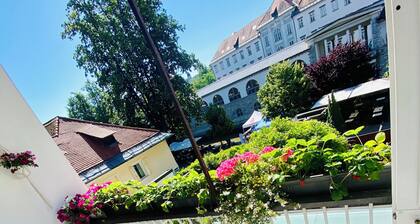 Lovely 1-bedroom 3 bed in a 18 century townhouse in Ljubljana