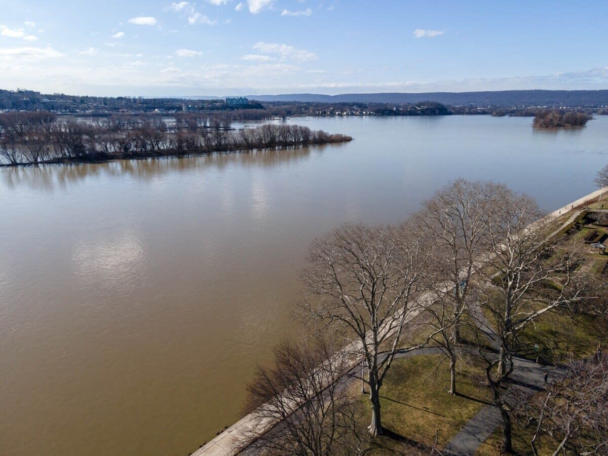 Une rivière avec un pont et des arbres au premier plan.