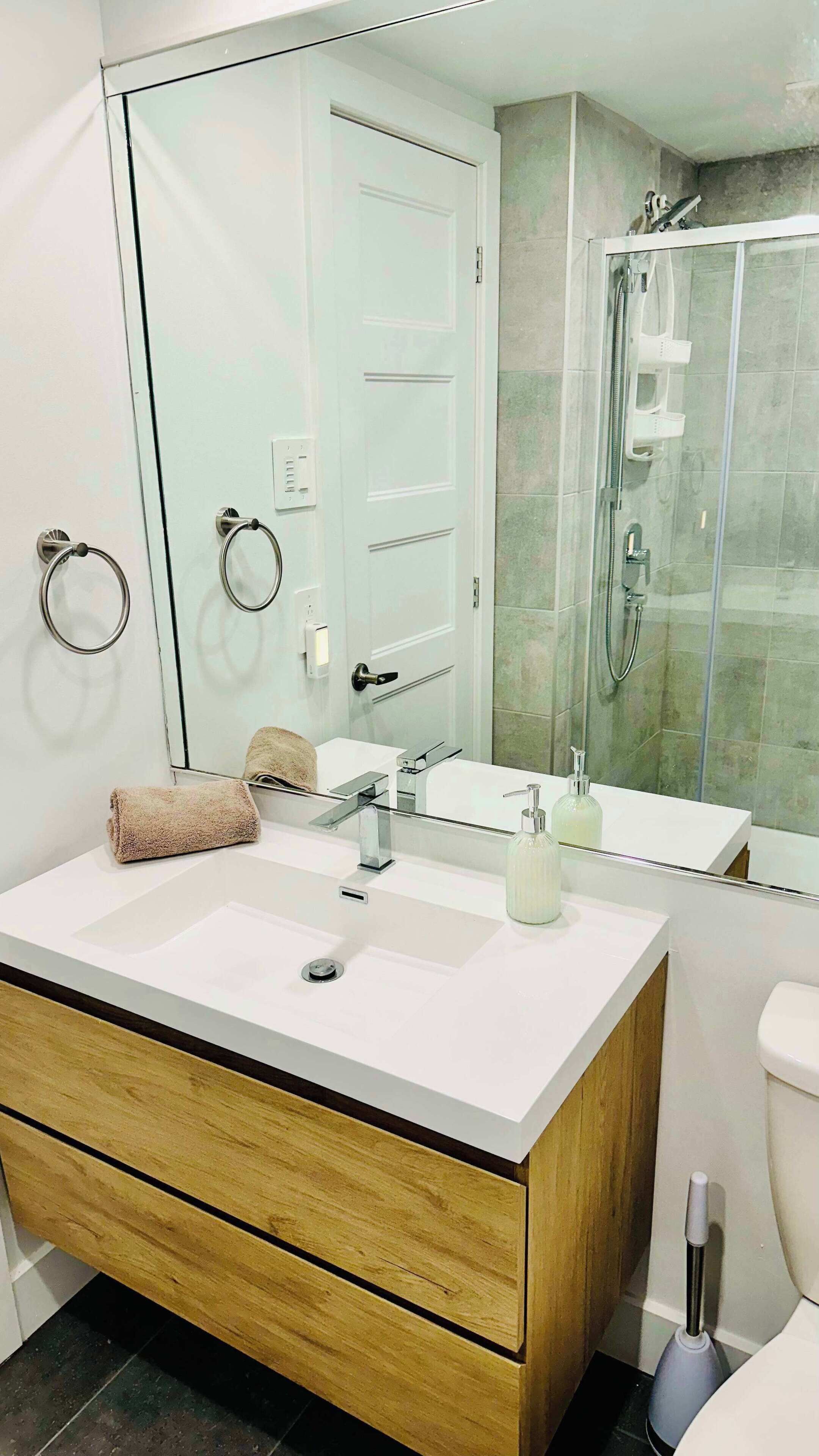 Shower, hair dryer, towels