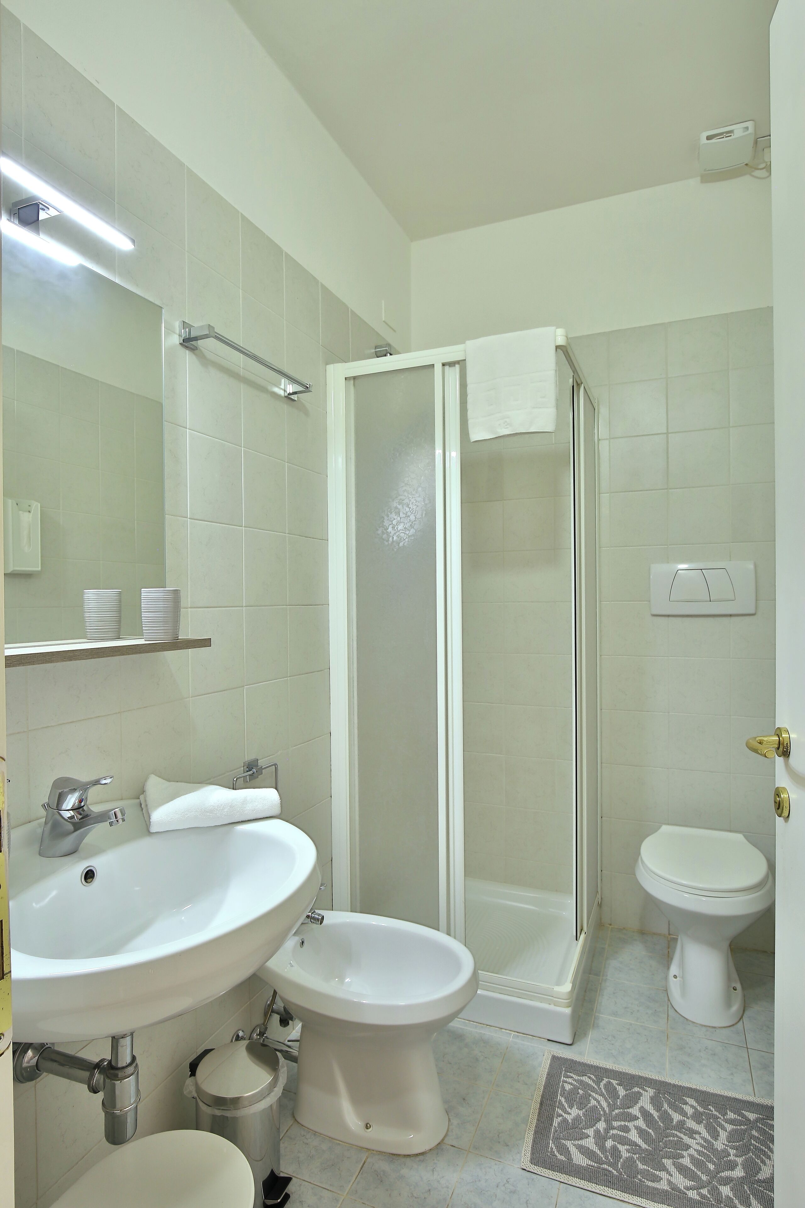 Shower, hair dryer, bidet, towels