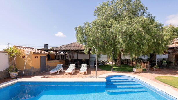 A swimming pool with lounge chairs, a covered patio, and a large tree.