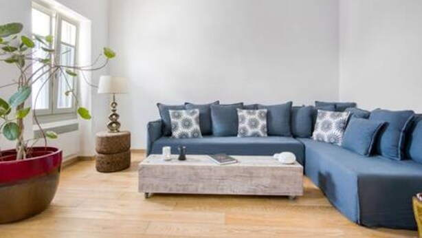 A modern living room with a blue sofa, a coffee table, a potted plant, and a lamp.
