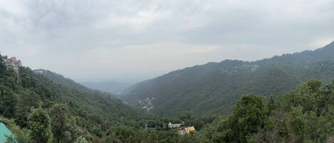 A valley with dense forest and a few buildings on the hillsides.