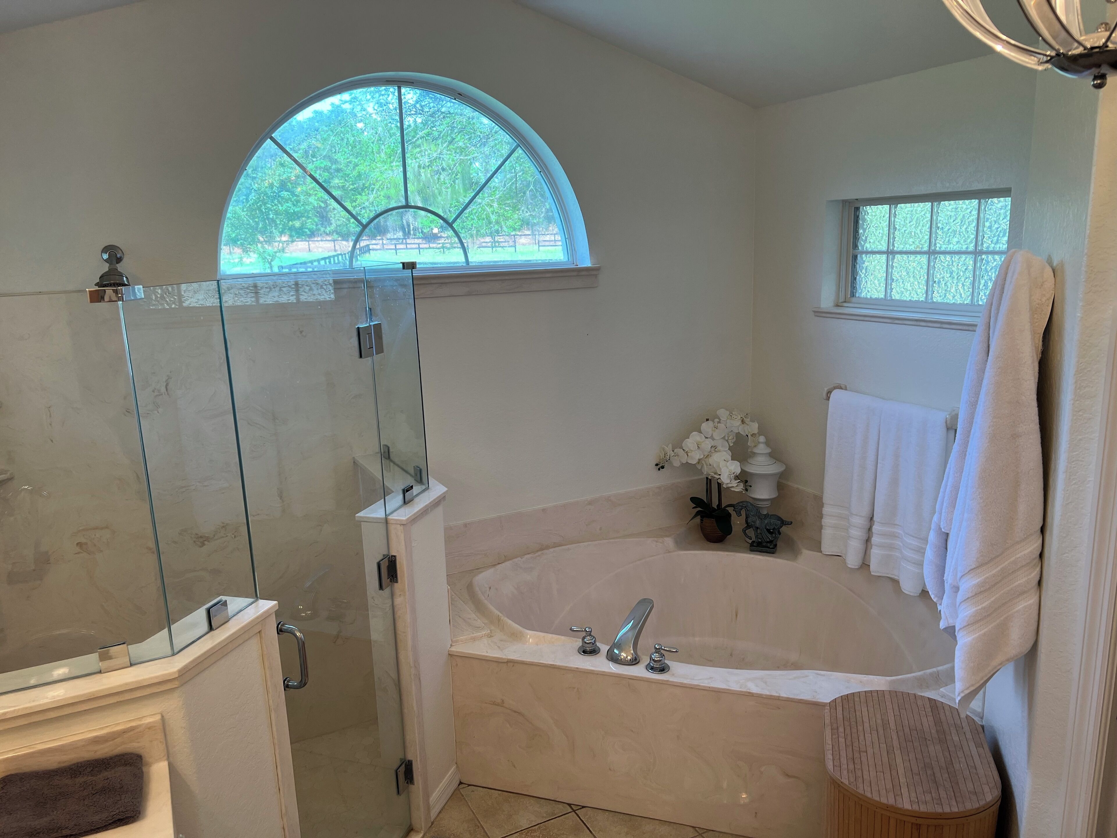 Shower, jetted bath, hair dryer, towels