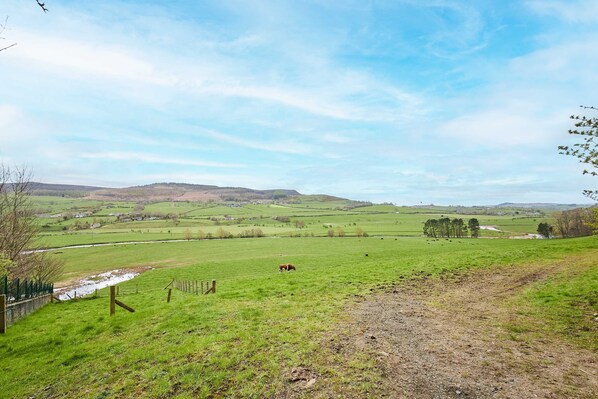 A rural landscape with a green field, a dirt path, and distant hills.