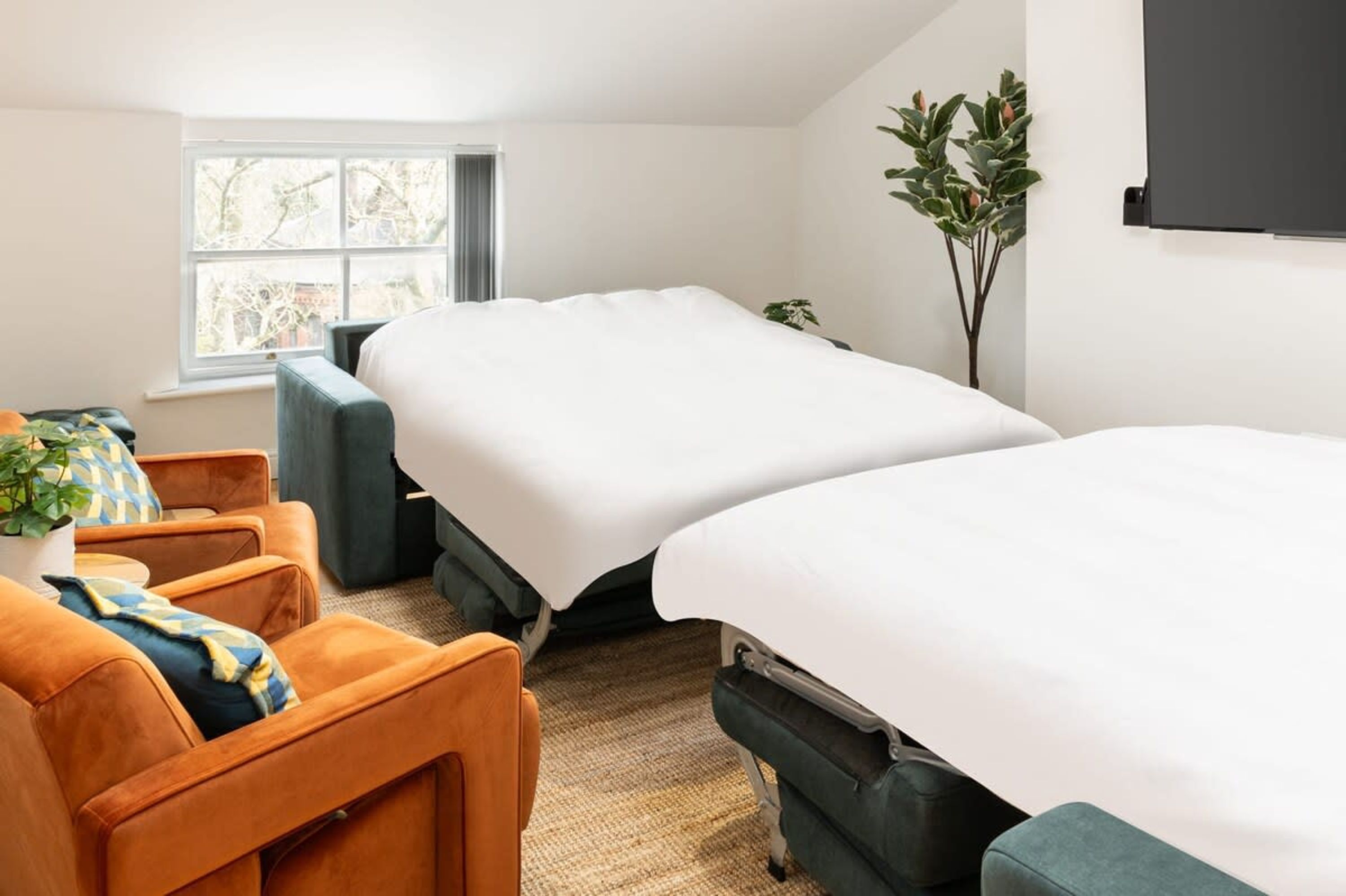 A hotel room with two beds, a sofa, a potted plant, and a window with a view of trees.