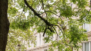 A building with multiple windows and a tree in the foreground. - Host Stay Princes Place Hideaway I (Liverpool)