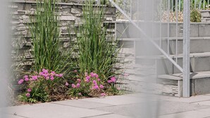 A staircase with a metal railing, surrounded by greenery and flowers.